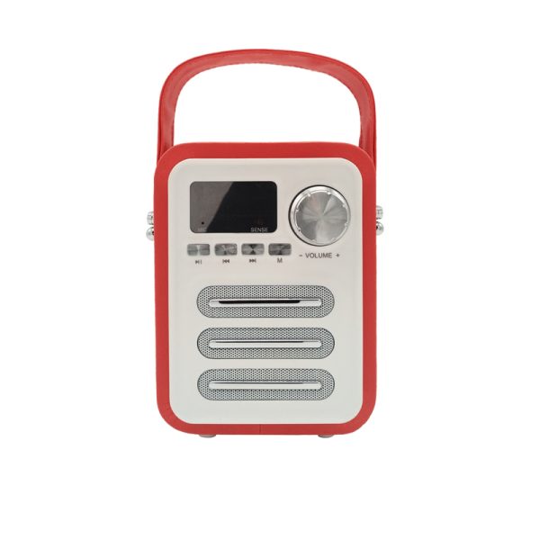 BL20 Enceinte Bluetooth en bois moderne et élégante