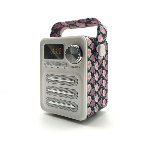 BL21 Enceinte Bluetooth moderne et élégante avec poignée